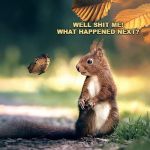 Squirrel | WELL SHIT ME!
WHAT HAPPENED NEXT? | image tagged in squirrel | made w/ Imgflip meme maker