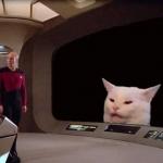 Picard confused about Cat meme