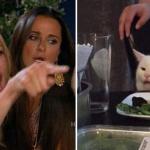 Karen vs Table Cat meme