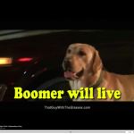 Boomer will live GIF Template