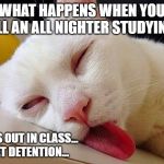 Sleeping cat | WHAT HAPPENS WHEN YOU PULL AN ALL NIGHTER STUDYING... PASS OUT IN CLASS... 
GET DETENTION... | image tagged in sleeping cat | made w/ Imgflip meme maker