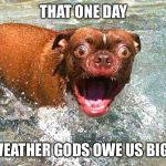 Cold dawg | THAT ONE DAY; THE WEATHER GODS OWE US BIG TIME | image tagged in cold dawg | made w/ Imgflip meme maker