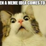 shocked cat | WHEN A MEME IDEA COMES TO YOU | image tagged in shocked cat | made w/ Imgflip meme maker
