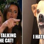 I hate cats | I HATE CATS; I WAS TALKING TO THE CAT! | image tagged in yelling at dog,woman yelling at cat | made w/ Imgflip meme maker