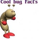 Cool Bug Facts meme