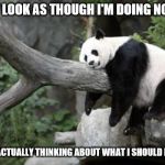 lazy panda | IT MAY LOOK AS THOUGH I'M DOING NOTHING; BUT I'M ACTUALLY THINKING ABOUT WHAT I SHOULD BE DOING | image tagged in lazy panda | made w/ Imgflip meme maker