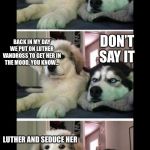 Two dogs bad joke | ALL THESE MEMES ABOUT NETFLIX AND CHILL; BACK IN MY DAY WE PUT ON LUTHER VANDROSS TO GET HER IN THE MOOD, YOU KNOW... DON’T SAY IT; LUTHER AND SEDUCE HER | image tagged in two dogs bad joke | made w/ Imgflip meme maker