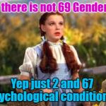 69 Genders | So there is not 69 Genders? YARRA MAN; Yep just 2 and 67 Psychological conditions. | image tagged in 69 genders | made w/ Imgflip meme maker