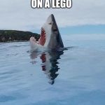 Rare image of a shark stepping on a Lego | WHEN U STEP ON A LEGO; AHHHHHHHHHH | image tagged in rare image of a shark stepping on a lego | made w/ Imgflip meme maker