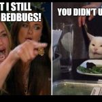 Bedbug argument | BUT I STILL HAVE BEDBUGS! YOU DIDN'T USE HEAT | image tagged in woman and cat meme,heat,bedbugs,argument,smartass | made w/ Imgflip meme maker
