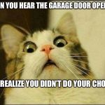 scared cat | WHEN YOU HEAR THE GARAGE DOOR OPENING; AND REALIZE YOU DIDN’T DO YOUR CHORES | image tagged in scared cat | made w/ Imgflip meme maker
