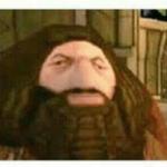 potato Hagrid