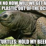 Contemplative Turtle | OH NO HOW WILL WE GET ALL THE PLASTIC OUT OF THE OCEAN; TURTLES: HOLD MY BEER | image tagged in contemplative turtle | made w/ Imgflip meme maker