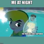 Legend of Zelda fairy in a bottle | ME AT NIGHT; THE FIREFLIES I JUST CAPTURED | image tagged in legend of zelda fairy in a bottle | made w/ Imgflip meme maker