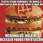 McDonald's Burger! | PLASTIC STRAW COMPANIES: THE WORLD IS BANNING PLASTIC HOW ARE WE GOING TO MAKE MONEY? MCDONALDS: HOLD MY PROCESSED FOODS FOR A SECOND... | image tagged in mcdonald's burger | made w/ Imgflip meme maker