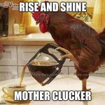 Coffee Rooster | RISE AND SHINE; MOTHER CLUCKER | image tagged in coffee rooster | made w/ Imgflip meme maker
