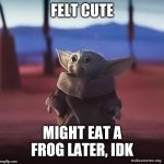 Baby yoda | FELT CUTE; MIGHT EAT A FROG LATER, IDK | image tagged in baby yoda | made w/ Imgflip meme maker