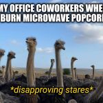 Smells like burning hair and tires | MY OFFICE COWORKERS WHEN I BURN MICROWAVE POPCORN; *disapproving stares* | image tagged in disapproving stares,microwave,popcorn,office,memes,funny memes | made w/ Imgflip meme maker