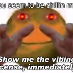 Vibe Check | You seem to be chillin rn... Show me the vibing license, immediately | image tagged in vibe check | made w/ Imgflip meme maker