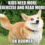 OK Boomer Corgi | KIDS NEED MORE EXERCISE AND READ MORE; OK BOOMER | image tagged in ok boomer corgi | made w/ Imgflip meme maker