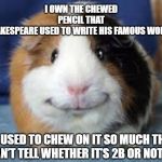 happy guinea pig | I OWN THE CHEWED PENCIL THAT SHAKESPEARE USED TO WRITE HIS FAMOUS WORKS. HE USED TO CHEW ON IT SO MUCH THAT I CAN’T TELL WHETHER IT’S 2B OR NOT 2B. | image tagged in happy guinea pig | made w/ Imgflip meme maker