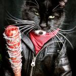 Negan Cat