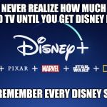 OG Disney! | YOU NEVER REALIZE HOW MUCH YOU WATCHED TV UNTIL YOU GET DISNEY PLUS AND; YOU REMEMBER EVERY DISNEY SHOW | image tagged in og disney | made w/ Imgflip meme maker