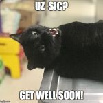 Stretch the Cat | UZ  SIC? GET WELL SOON! | image tagged in stretch the cat | made w/ Imgflip meme maker