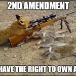Fox with rifle | 2ND AMENDMENT; YOU HAVE THE RIGHT TO OWN A GUN | image tagged in fox with rifle | made w/ Imgflip meme maker