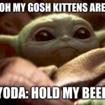 Baby Yoda | PEOPLE: OH MY GOSH KITTENS ARE SO CUTE; YODA: HOLD MY BEER | image tagged in baby yoda | made w/ Imgflip meme maker