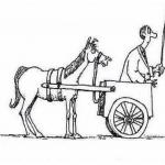 Cart Before Horse