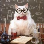 Chemistry Cat meme