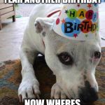Pitbull Birthday Hat | WELL ANOTHER YEAR ANOTHER BIRTHDAY NOW WHERES THE CAKE | image tagged in pitbull birthday hat | made w/ Imgflip meme maker
