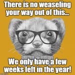 Hipster Weasel | There is no weaseling your way out of this... We only have a few weeks left in the year! | image tagged in hipster weasel | made w/ Imgflip meme maker