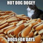 Hot dog cat | HOT DOG DOGEY; DOGS FOR DAYS | image tagged in hot dog cat,fun,funny,funny memes | made w/ Imgflip meme maker