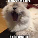 singing cat | I HAD THE TIME OF MY LIFE; AND I OWE IT ALL TO MEW... | image tagged in singing cat | made w/ Imgflip meme maker