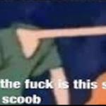 Like what the fuck is this shit above me scoob meme