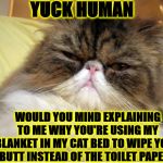 YUCK | YUCK HUMAN; WOULD YOU MIND EXPLAINING TO ME WHY YOU'RE USING MY BLANKET IN MY CAT BED TO WIPE YOUR BUTT INSTEAD OF THE TOILET PAPER? | image tagged in yuck | made w/ Imgflip meme maker