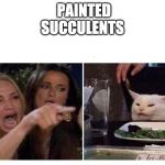 Housewife cat | PAINTED SUCCULENTS | image tagged in housewife cat | made w/ Imgflip meme maker