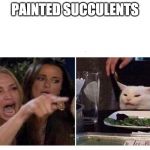 Housewife cat | PAINTED SUCCULENTS | image tagged in housewife cat | made w/ Imgflip meme maker