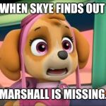 Shocked Skye | WHEN SKYE FINDS OUT; MARSHALL IS MISSING. | image tagged in shocked skye | made w/ Imgflip meme maker