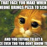 Shrek Cat Meme Generator Imgflip Shrek Cat Meme Generator Imgflip