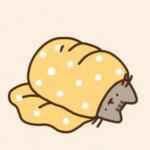 Pusheen can't slepp