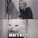The Shining Kitty Litter | HERE'S KITTY! | image tagged in woman yells are shining | made w/ Imgflip meme maker