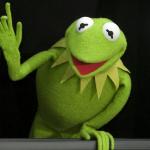 Kermit the Frog Important Point meme