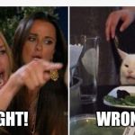 Drunk lady and cat | RIGHT!                      WRONG! | image tagged in drunk lady and cat | made w/ Imgflip meme maker