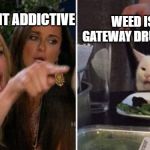 lady yelling at cat | WEED IS THE GATEWAY DRUG TO HELL; WEED ISNT ADDICTIVE | image tagged in lady yelling at cat | made w/ Imgflip meme maker