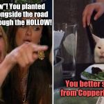 Came home with a brand new plan | Say "Hollow"! You planted produce alongside the road that runs through the HOLLOW! You better stay away from Copperhead Road. | image tagged in girls vs cat,woman yelling at cat,copperhead road,steve earle,you aint country so shut up,humor | made w/ Imgflip meme maker