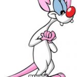 Pinky Meme | NO ONE:; PINKY:
NARF! | image tagged in pinky,narf,pinky and the brain | made w/ Imgflip meme maker