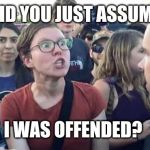 Did you just assume my gender | DID YOU JUST ASSUME; I WAS OFFENDED? | image tagged in did you just assume my gender | made w/ Imgflip meme maker